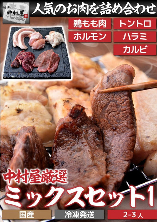 国産牛 ミックスセット1 カルビ100g トントロ100g 鶏もも肉100g ハラミ100g ホルモ