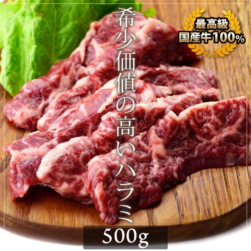 国産牛 ハラミ 500g 横隔膜 焼肉 バーベキュー BBQ 牛肉 ギフト 内祝い