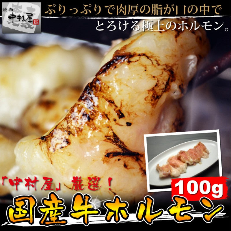 国産牛ホルモン100g【焼肉 バーベキュー ホルモンうどん もつ鍋】