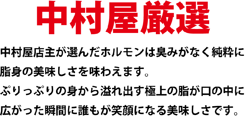 国産牛ホルモン100g【焼肉 バーベキュー ホルモンうどん もつ鍋】