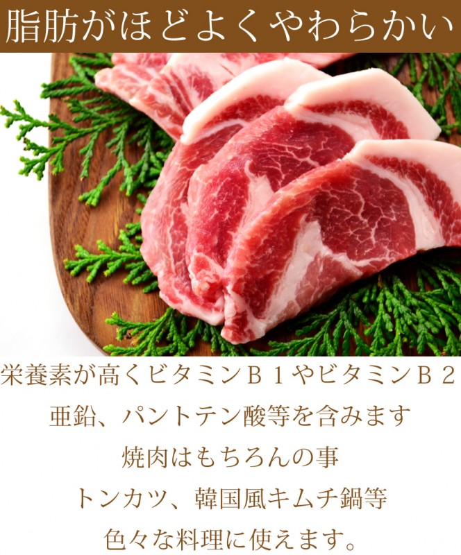 国産豚 ロース 500g