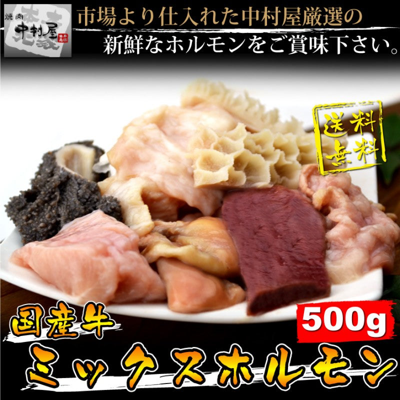 送料無料!国産牛ミックスホルモン500g【焼肉 バーベキュー ホルモンうどん もつ鍋】
