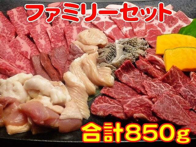 ファミリーセット カルビ200g ハラミ200g 豚ロース100g 鶏もも肉100g ホルモン50g