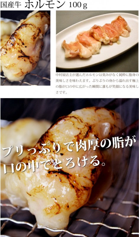 国産牛 ホルモン2種セット200g ホルモン100g 大腸100g