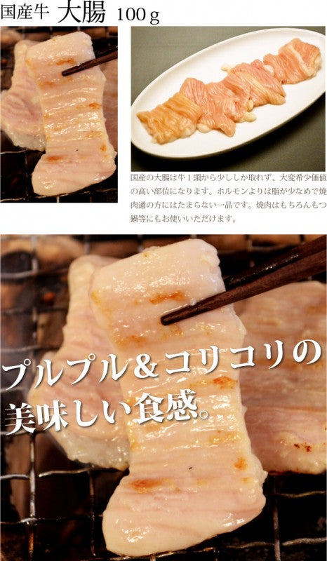 国産牛 ホルモン2種セット200g ホルモン100g 大腸100g