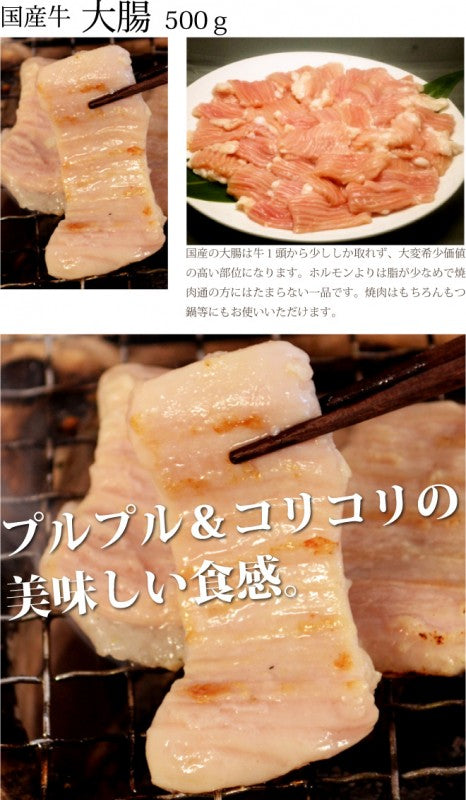 国産牛 ホルモン2種セット1kg ホルモン500g 大腸500g