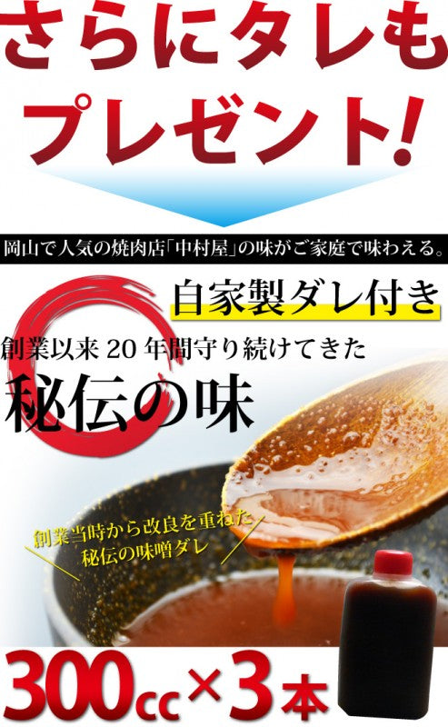 BBQセット 3kg カルビ300g ホルモン500g ロース300g ツラミ300g 並ミノ200