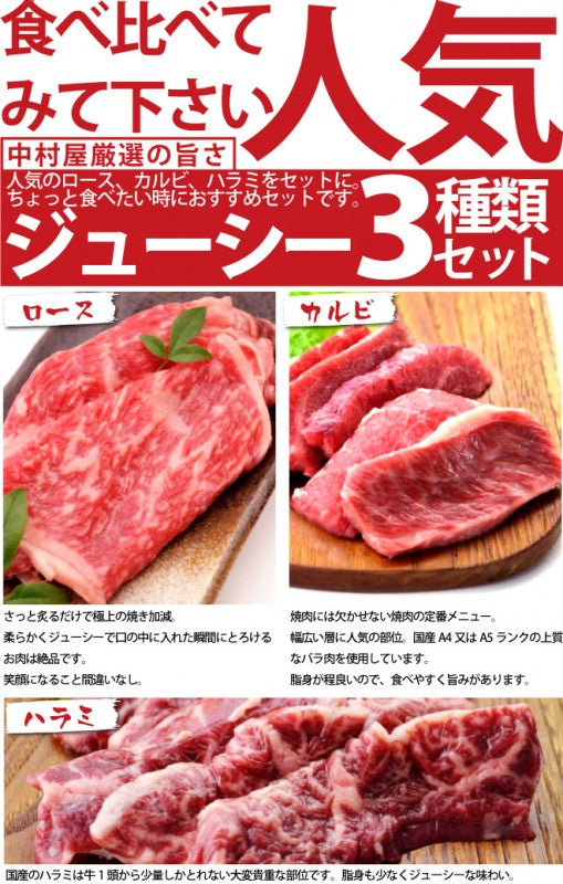 BBQ3種盛り カルビ 100g ロース 100g ハラミ 100g