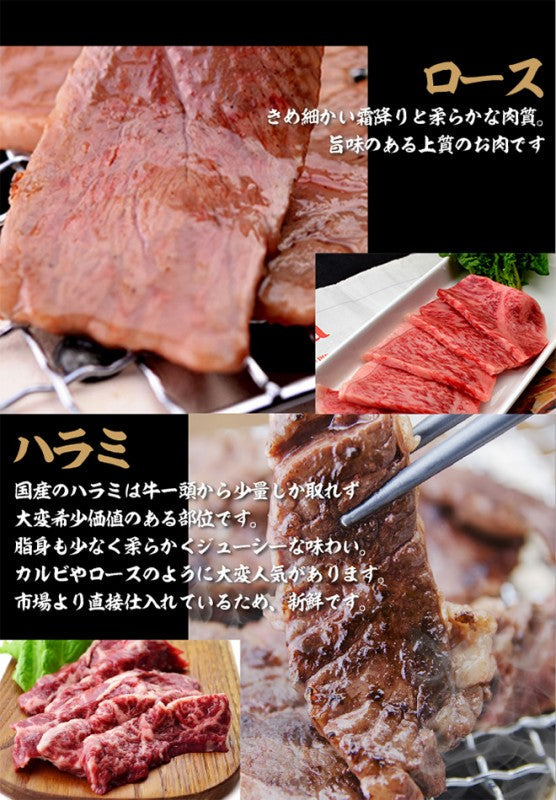 国産牛 バーベキューセット5 ロース200g ハラミ200g ホルモン200g 大腸200g