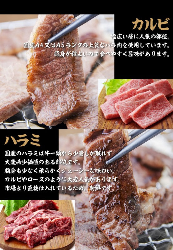 国産牛 バーベキューセット3 カルビ300g ハラミ300g ホルモン100g センマイ100g 大