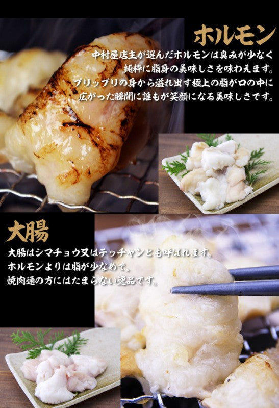 国産牛 バーベキューセット3 カルビ300g ハラミ300g ホルモン100g センマイ100g 大