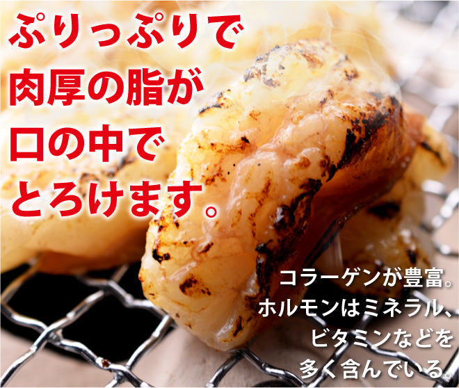 国産黒毛和牛ホルモン1kg(200gX5パック)