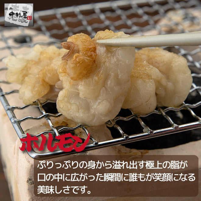 国産牛ホルモン3種盛 ホルモン100g 大腸100g アカセン100g
