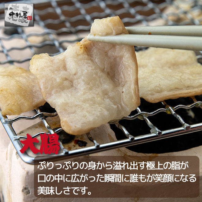 国産牛ホルモン3種盛 ホルモン100g 大腸100g アカセン100g