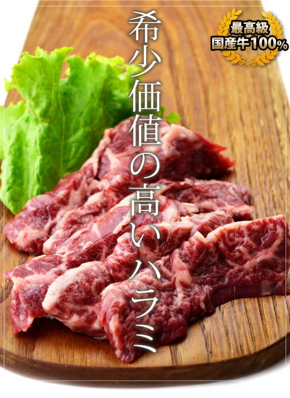 国産牛 ハラミ 100g 横隔膜 焼肉 バーベキュー(焼肉 バーベキュー BBQ 牛肉)