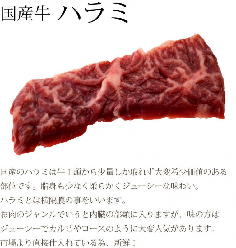 国産牛 ハラミ 100g 横隔膜 焼肉 バーベキュー(焼肉 バーベキュー BBQ 牛肉)