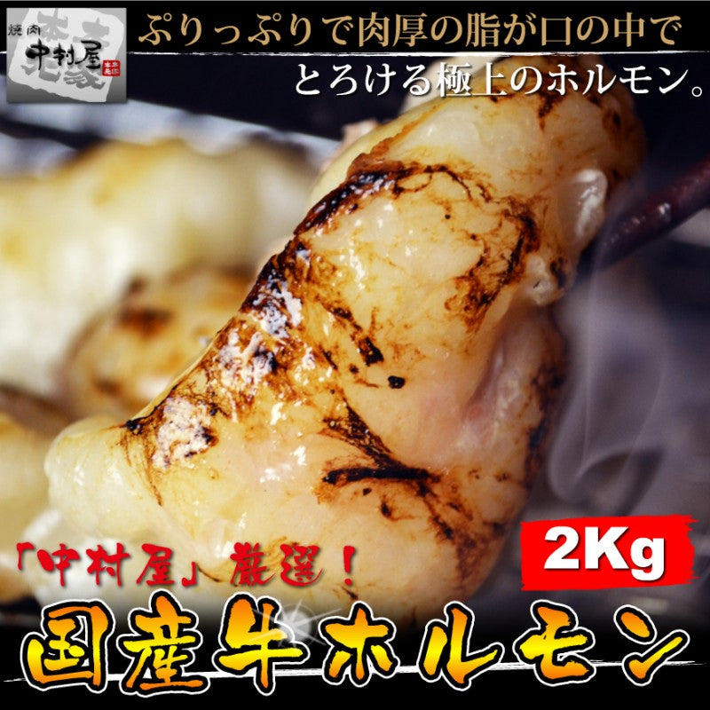 送料無料!国産牛ホルモン2kg【200gX10パック】【メガ盛り】
