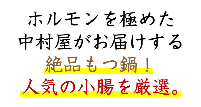小腸厳選 もつ鍋 セット ホルモン