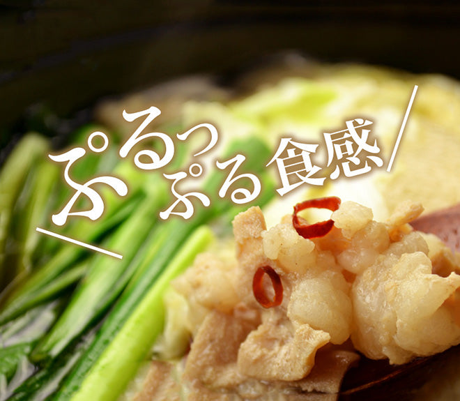 小腸厳選 もつ鍋 セット ホルモン