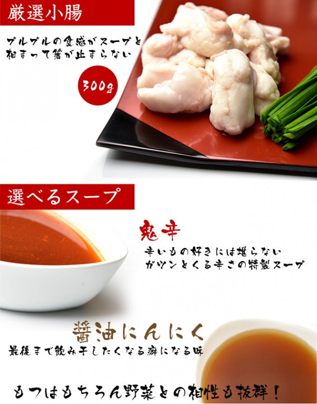 小腸厳選 もつ鍋 セット ホルモン