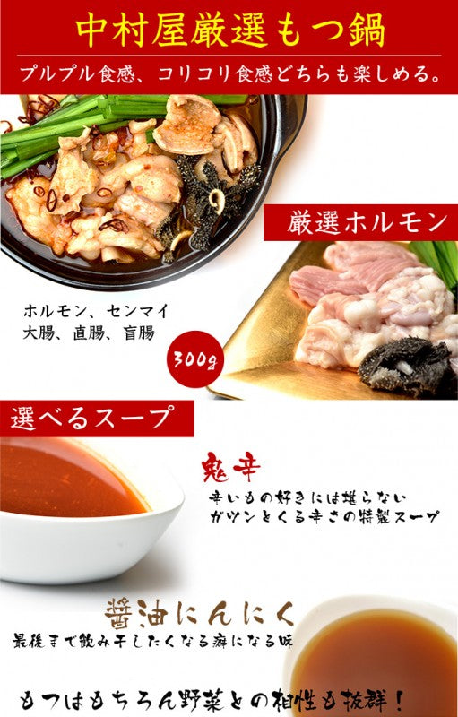 国産牛もつ鍋セット ホルモン 大腸 センマイ 直腸 盲腸