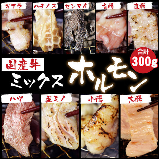 国産牛ミックスホルモン300g【焼肉　バーベキュー　ホルモンうどん　もつ鍋】