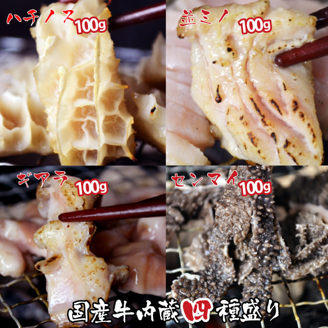 国産牛 内臓4種セット 400g 並ミノ100g センマイ100g ハチノス100g ギアラ100g