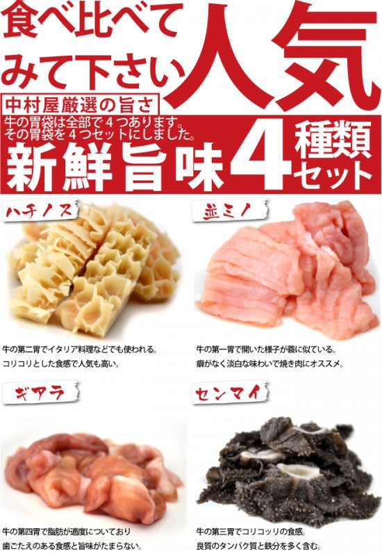 国産牛 内臓4種セット 400g 並ミノ100g センマイ100g ハチノス100g ギアラ100g