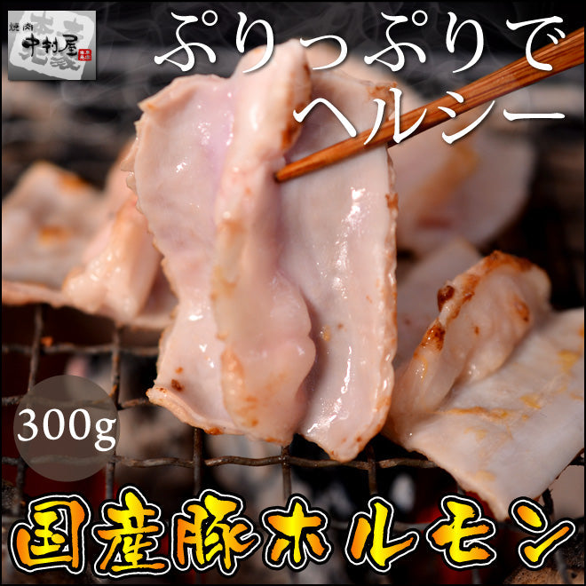 国産豚ホルモン300g【訳あり】(小腸　焼肉　バーベキュー　BBQ 豚　国産)